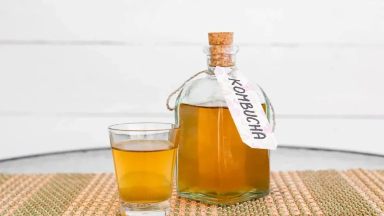 kombucha varning