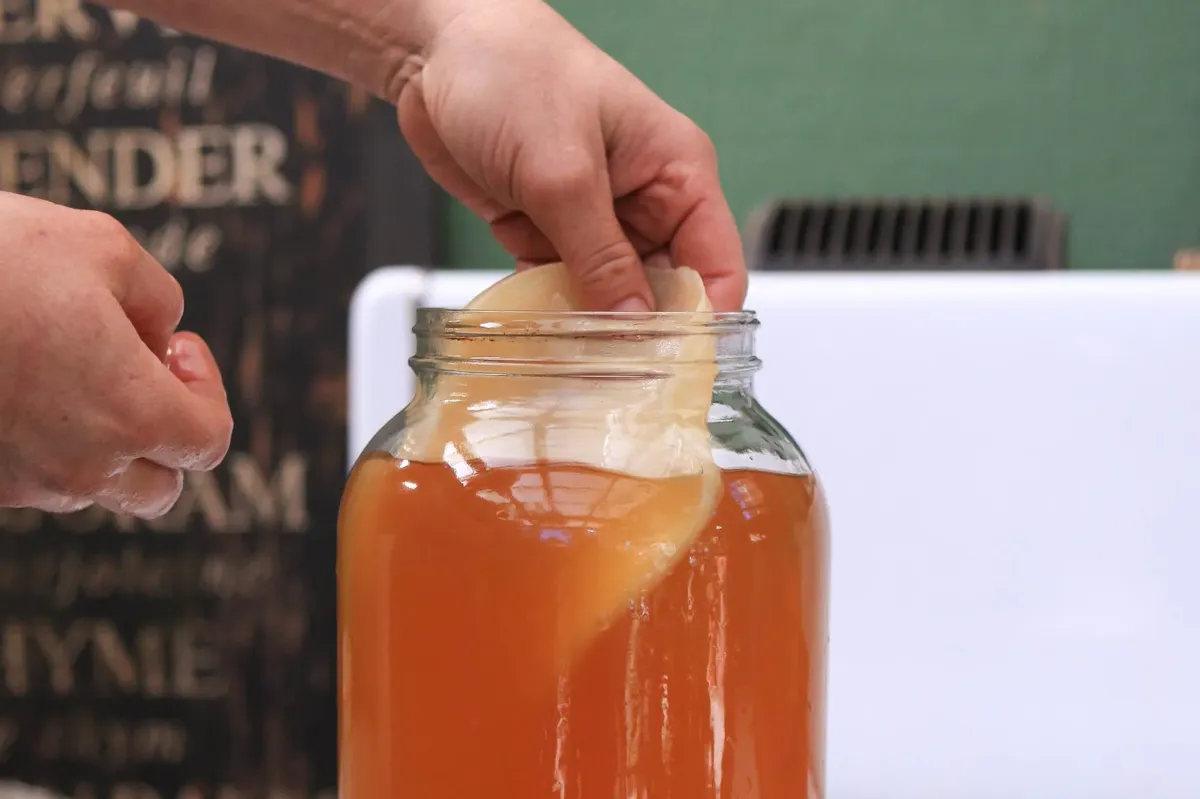 Så mycket kombucha bör du dricka