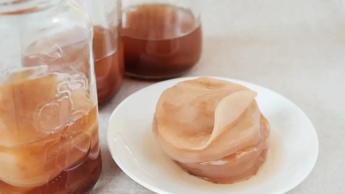 Den mytomspunna kombucha svampen