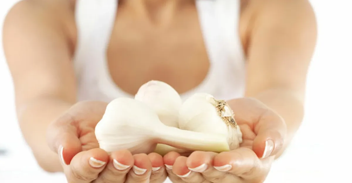 Immunstärkande örter som mirakelvapen