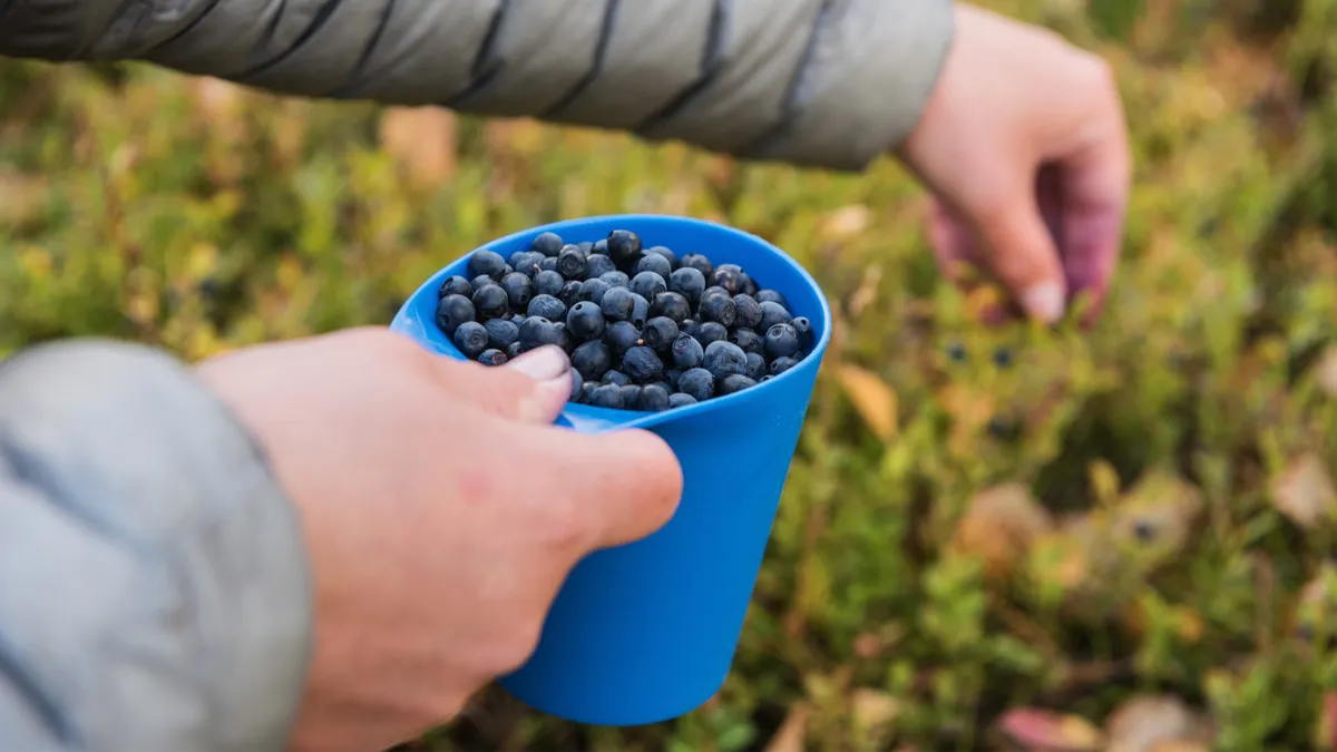 Hälsoeffekter du märker i vardagen